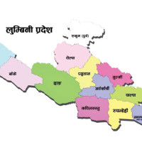 How climate change could force FIFA to rethink the World Cup calendar