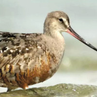 UK Eyes Return To EU Embrace