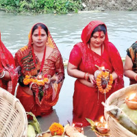 Rice cultivation area declines in Gandaki