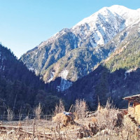 Agriculture ambulance eases supply  of vegetables to market