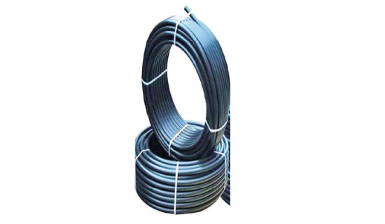 Sarlahi farmers getting good prices for vegetables