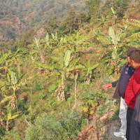 Children get citizenship in mother's name a decade after application