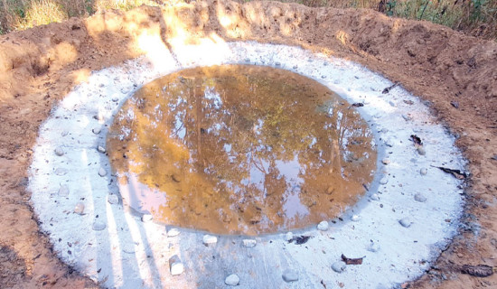 ‘Bowl ponds’ in BNP: A lifeline for wildlife during summer