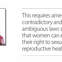 ‘Bowl ponds’ in BNP: A lifeline for wildlife during summer