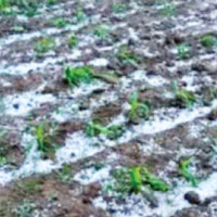 Female Entrepreneurs