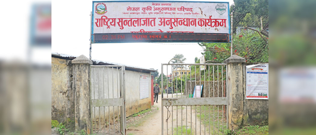 Orange research programme suffers from staff shortage