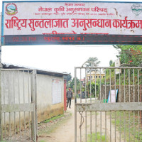 Oli, Solu to be awarded