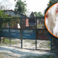 Over 1.5 million COVID-19 vaccines delivered to Nepal through COVAX