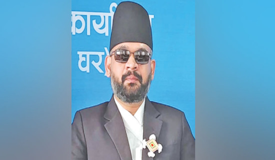 Shah elected PP leader of RSP