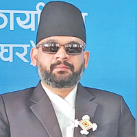 Wildlife numbers fall by 73% in 50 years