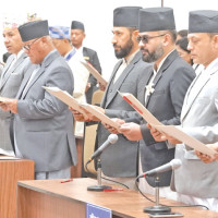 Wildlife numbers fall by 73% in 50 years