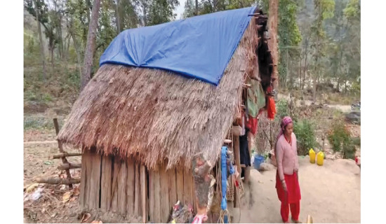 PM Deuba orders to seek ways of addressing problems facing freed Kamaiyas