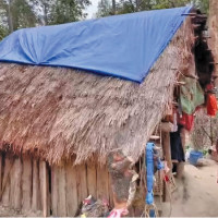 Pokhrel's Snow Leopard gets Honourable Mention award in Wildlife Conservation Film Festival in Mexico