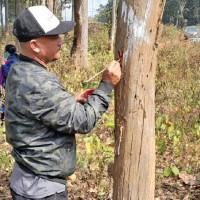 Flood washes away five kilometres of diversion on BP Highway