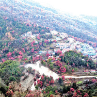 Palestinian death toll soars past 25,000 in Gaza with no end in sight to Israel-Hamas war