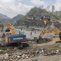 Two female rhinos translocated to Koshi Tappu