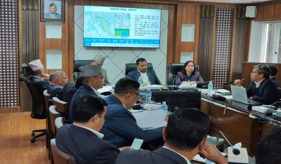 Nilgai disrupts flights of Nepalgunj Airport