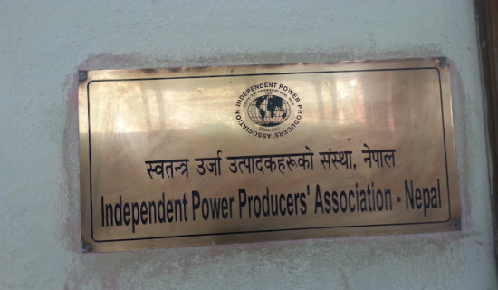 IPPAN welcomes govt action plan on energy sector