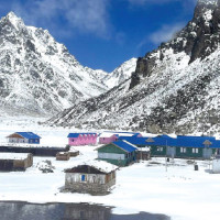 Dr Yunus: From teacher to head of Bangladesh govt