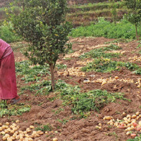 Minister Gurung urges disaster preparedness