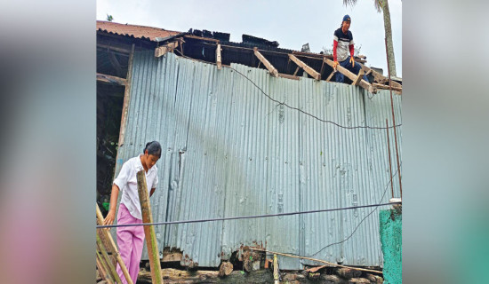 Economy On Recovery Path, Volatility In Politics