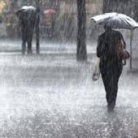 Five endangered vultures found dead in Nawalparasi