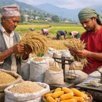 TRN journo Rai bags journalism award