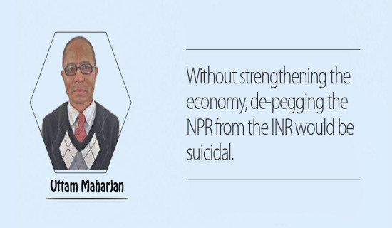 RSP's Neupane elected HoR member from Kathmandu-1 constituency