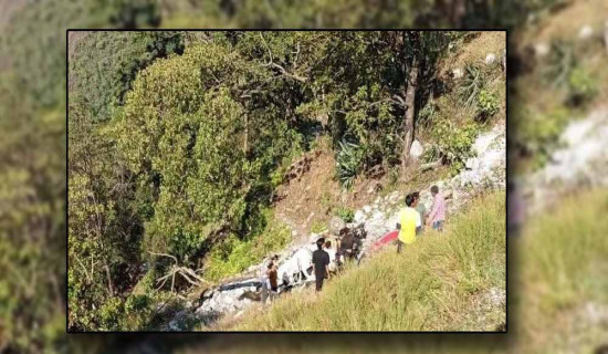 Jeep accident in Darchula: Two irrigation office employees die