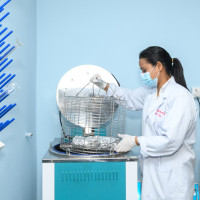 Election Commission urges parties and public not to obstruct election campaign