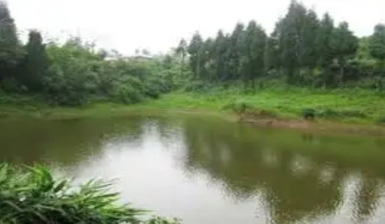 Pond conservation to promote tourism in Hatuwagadhi