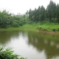 Sudur Paschim Minister Tika Thapa sacked