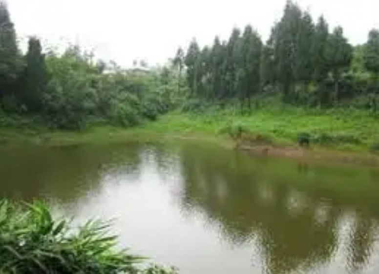 Pond conservation to promote tourism in Hatuwagadhi