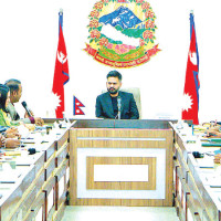 Almost nothing stops Japan’s bullet trains – but a snake did