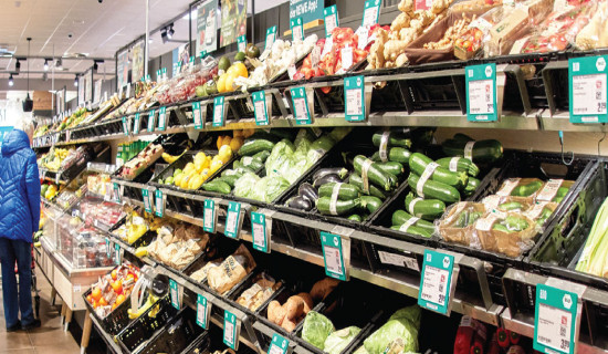 Germany slashes growth forecast amid Iran war