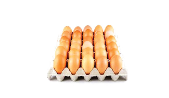 Lamjung district bans poultry, egg imports