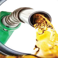 India launches delayed census