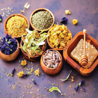 Banana farming in Chitwan reports TR4 infection