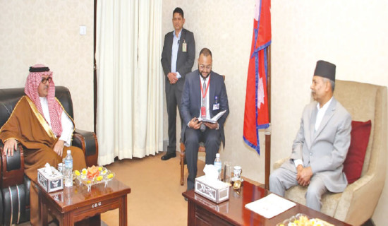 Saudi Ambassador calls on Vice President Yadav