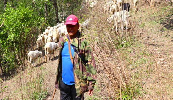 Call for continuing nutrition aid to HIV survivors