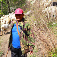 Safe citizen housing scheme in Chaurjahari