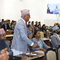 Foreign returnee Chhantyal chooses goat and sheep herding over urban 'life of comfort'