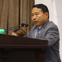 10 people killed in elephant attacks in Koshi in a year