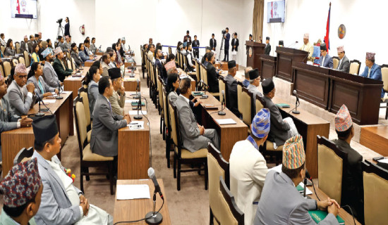 MPs push governance reform