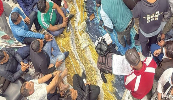 10 trailblazers honoured as Development Heroes