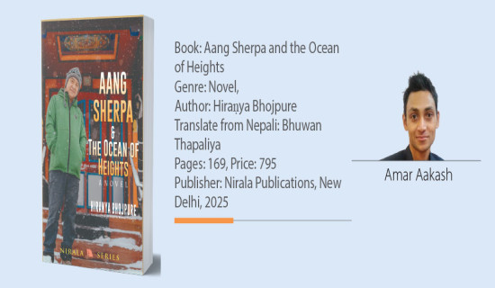 Cables go underground in Pokhara