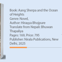 KMC to introduce night bus service