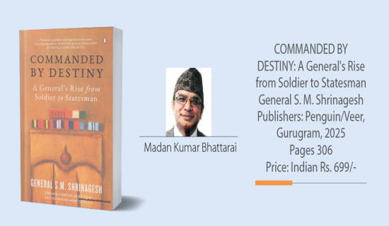 KMC to introduce night bus service