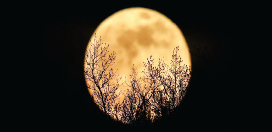 Skywatchers To Enjoy April Wonders