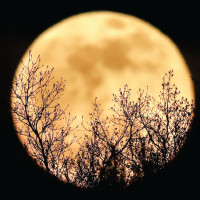 100 plus die in Africa floods